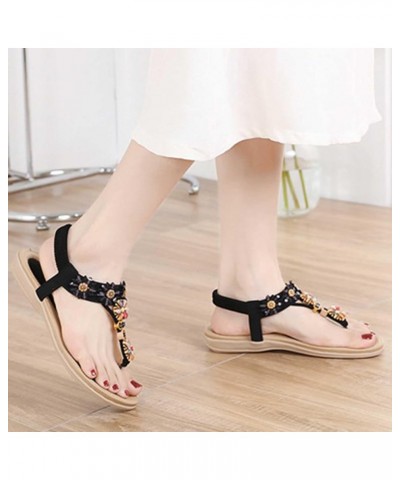 Summer Women Sandals Rhinestone Large Size Flower Embroidered Flat Sandal Holiday Beach Home Flats Shoes Vacation Z-889 Black...